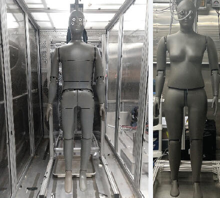 Figure B7. Newton (Male) and Liz (Female) Sweating Manikins at NCSU TPACC